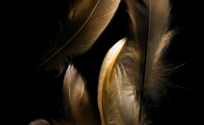 The Journey to Rejuvenation The Journey to Rejuvenation